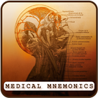 Estudio de mnemotecnia médica icono