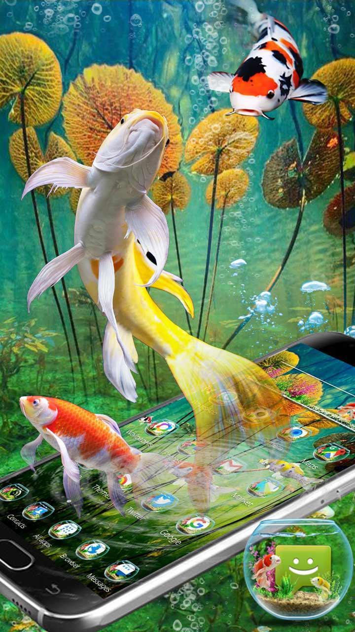 Gambar Wallpaper Ikan Koi