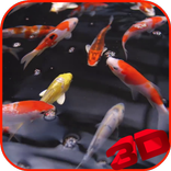Koi Video Live Wallpaper