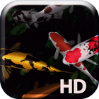 Koi Fish Live Wallpaper ícone