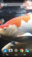 Koi Fish Live Wallpaper imagem de tela 2