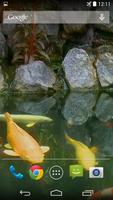 پوستر Koi Pond Video Live Wallpaper