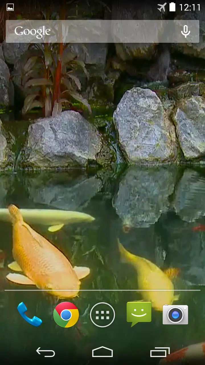 Tải xuống APK Koi Pond Video Live Wallpaper cho Android Tải xuống APK Koi Pond Video Live Wallpaper cho Android
