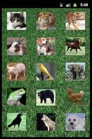 theZOOapp Affiche