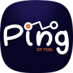 PingTools Network Utilities