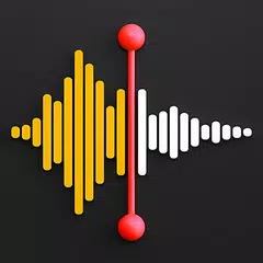 Voice Memo: Microphone App XAPK Herunterladen