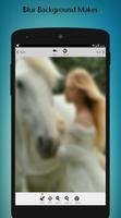 Poster Sfocatura foto - Blur Background Maker