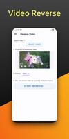 Reverse Video Plakat