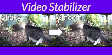 Shaky Video Stabilizer