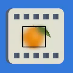 Blur Video, Censor Face/Object アプリダウンロード