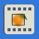 Blur Video, Censor Face/Object APK
