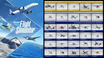 Flight-Plane Simulator Affiche