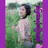 အပြာကားနှင့်အပြာစာအုပ် APK