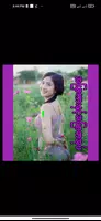 အပြာကားနှင့်အပြာစာအုပ် Affiche