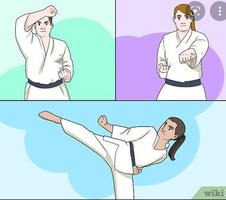 wie man Karate lernt Screenshot 3