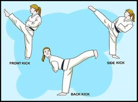 wie man Karate lernt Screenshot 1
