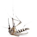 Kill Mosquitoes aplikacja