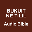 APK Kalenjin Audio Bible - NT