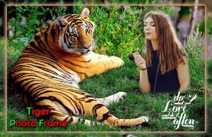 Tiger Photo Frames Affiche