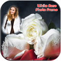 White Rose Photo Frames