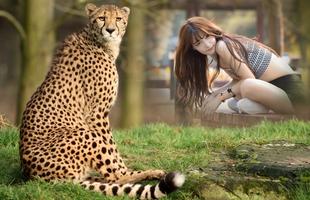 Cheetah Photo Frames poster