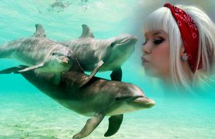 Dolphin Photo Frame पोस्टर