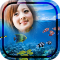 Fish Photo Frames