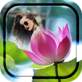Lotus Photo Frame icon