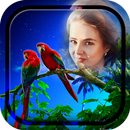 Love Birds Photo Frames APK