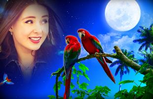 Love Birds Photo Frames 포스터