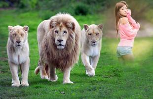 Lion Photo Frame تصوير الشاشة 2