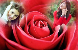 Macro Rose Photo Frame تصوير الشاشة 1