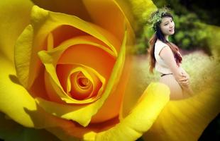 Macro Rose Photo Frame تصوير الشاشة 3