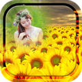 Sunflower Photo Frames