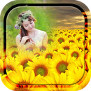 APK Sunflower Photo Frames