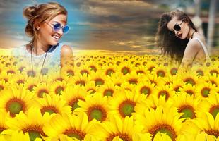 Sunflower Photo Frames پوسٹر