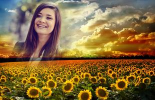 Sunflower Photo Frames تصوير الشاشة 1