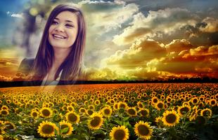 Sunflower Photo Frames скриншот 1