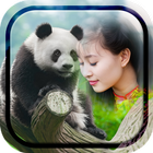 Panda Photo Frames icon