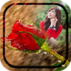 Rainy Rose Photo Frame أيقونة