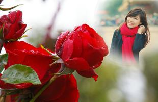 Rainy Rose Photo Frame স্ক্রিনশট 1