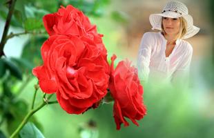 1 Schermata Red Rose Photo Frame