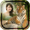 Tiger Photo Frames