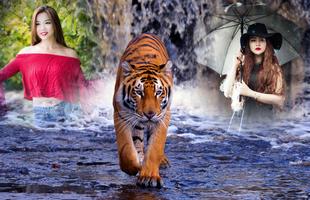 Tiger Photo Frames الملصق