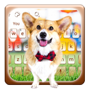 Furry Corgi Keyboard APK