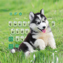 Adorable Cute Puppy Keyboard Theme🐶 APK