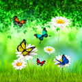 Shinny Butterfly Keyboard