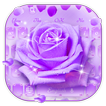 Фиолетовая роза Клавиатура