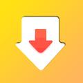 Video Downloader