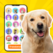 ”Dog Translator: Trainer